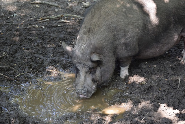 集中在個別 集中在個別
