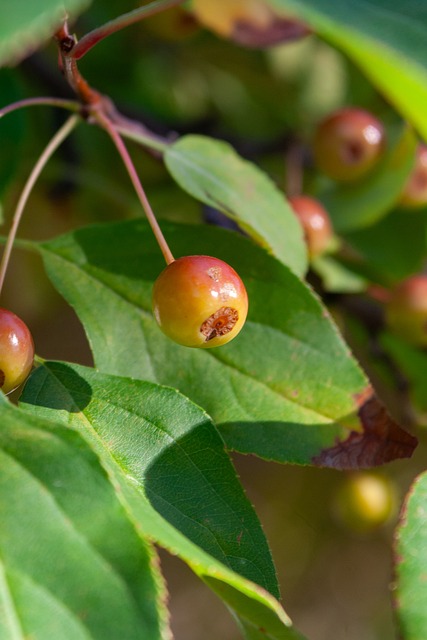 网本赛季的 网本赛季的